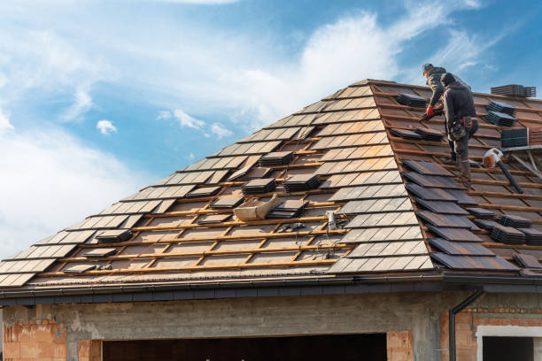 Best Roof Ventilation Installation  in Audubon Park, KY